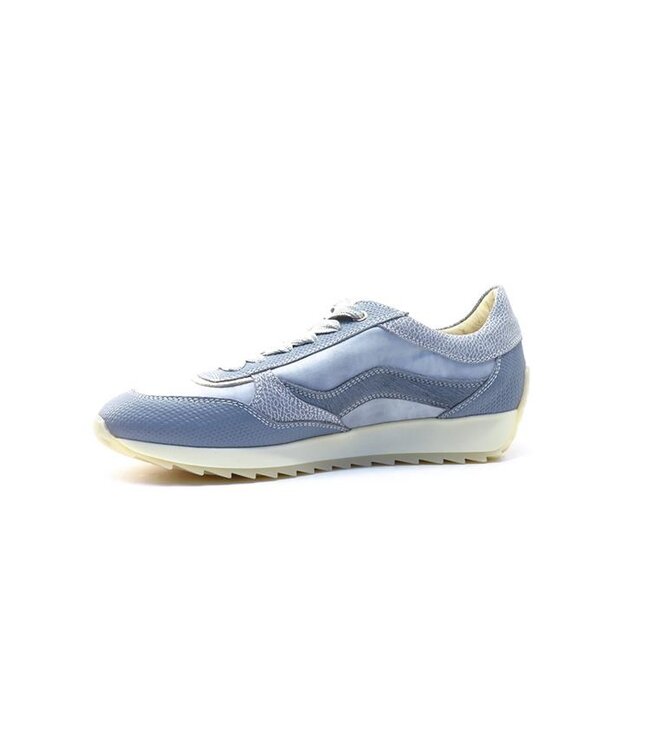 DL Sport | Dames | Sneakers | Cloud Grigio (6988)