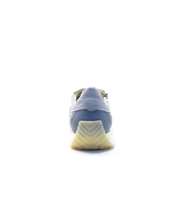 DL Sport | Dames | Sneakers | Cloud Grigio (6988)