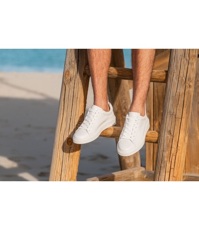 Giorgio | Heren | Sneakers | White (58112201)