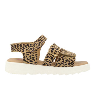 Develab Develab | Sandalen | Meisjes | Leopard Fantasy (48548 059)