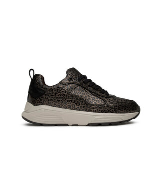 Xsensible Xsensible | Dames | Sneakers | Bronze Combi (33004.4 389)