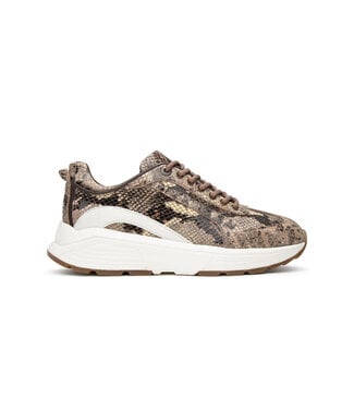 Xsensible Xsensible | Dames | Sneakers | Dark Brown Fantasy (33013.4 383)
