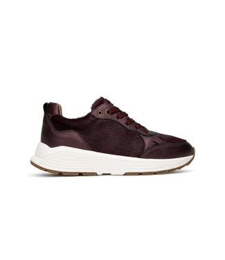 Xsensible Xsensible | Dames | Sneakers | Burgundy Combi (33009.4 729)