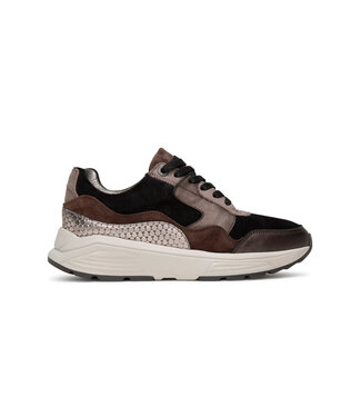 Xsensible Xsensible | Dames | Sneakers | Dark Brown Fantasy (33000.2 383)