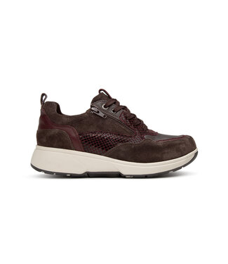 Xsensible Xsensible | Dames | Sneakers | Dark Brown Combi (30215.3 360)