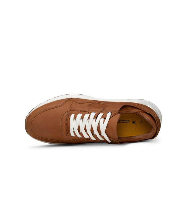 Xsensible | Heren | Sneakers | Cognac (33200.4 330)