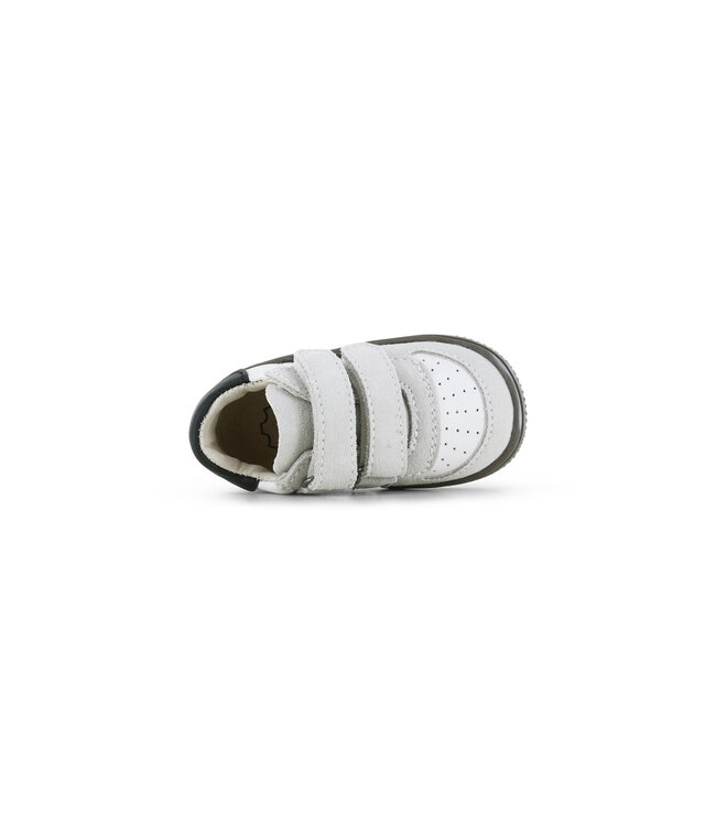 Shoesme | Jongens | Baby - Proof | Beige White Black  (BN26W001-J)