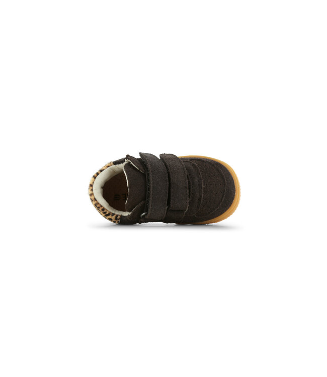Shoesme | Meisjes | Baby - Proof | Dark Brown (BN26W001-A)