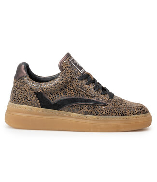 Floris van Bommel Dames Floris van Bommel | Dames | Sneakers | Brown (10158-20-01)