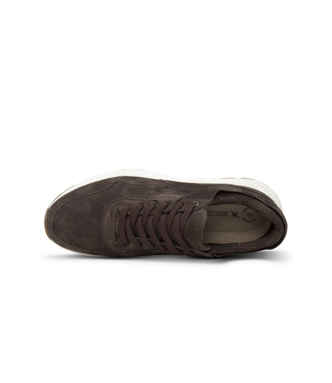 Xsensible | Heren | Sneakers | Dark Brown (33200.4 308)