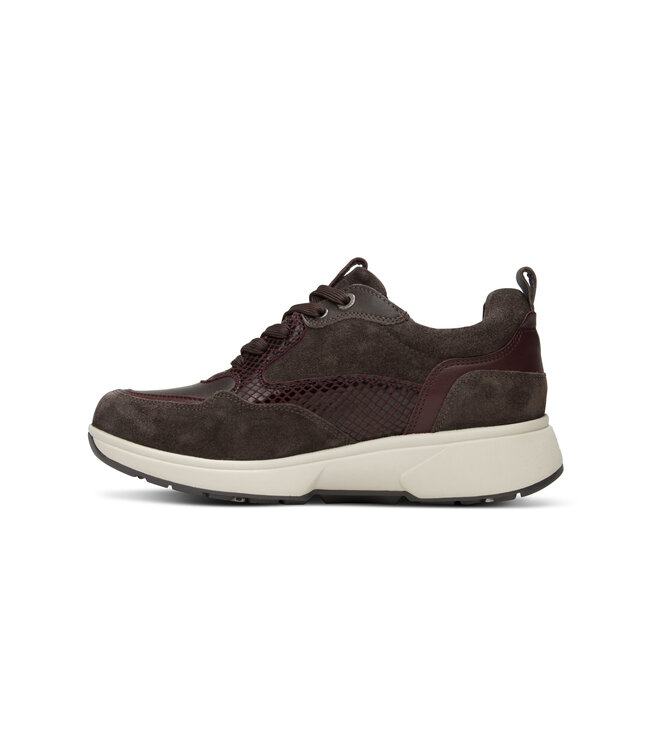 Xsensible | Dames | Sneakers | Dark Brown Combi (30215.3 360)