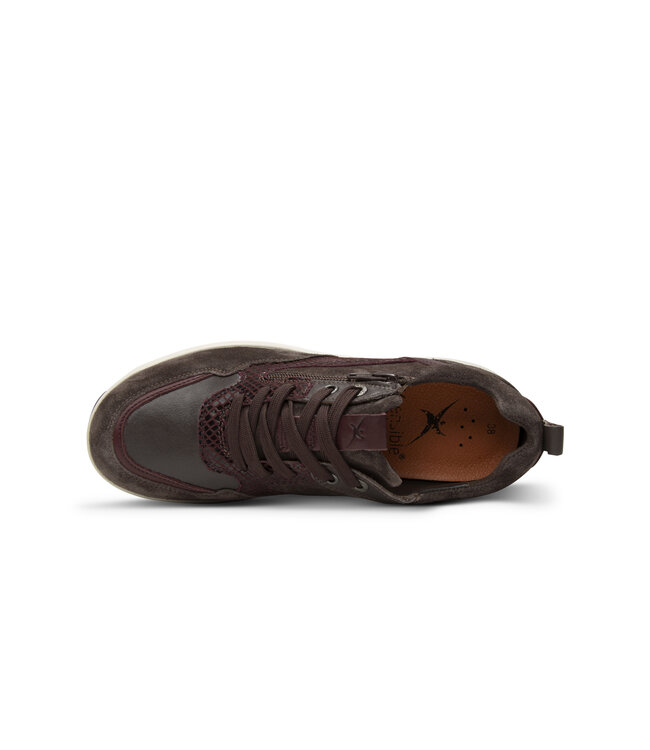 Xsensible | Dames | Sneakers | Dark Brown Combi (30215.3 360)