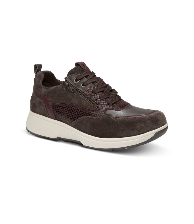 Xsensible | Dames | Sneakers | Dark Brown Combi (30215.3 360)