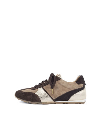 Babouche Babouche | Dames | Sneakers | Dark Brown/Noce/Gold (Saffa-219)