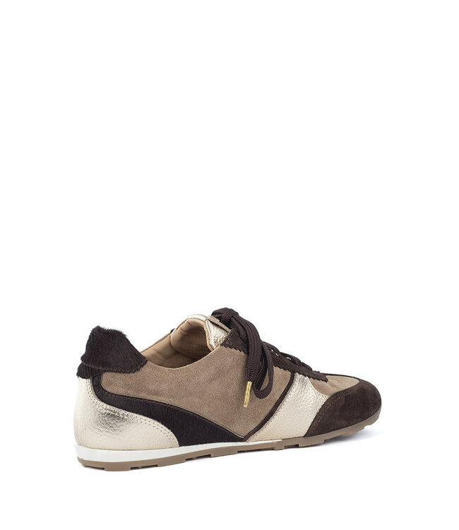 Babouche | Dames | Sneakers | Dark Brown/Noce/Gold (Saffa-219)