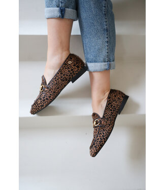 Babouche Babouche | Dames | Loafers | Leopard / Dark Brown (G-Filly-59)