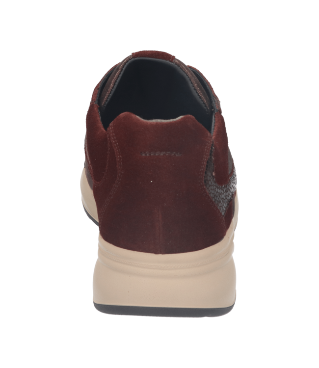 Durea | Dames | Sneakers | Bordo/Bruin (6316 608 2385 K)