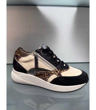DLSport DL Sport | Dames | Sneakers | Velour Nero (7132 H/K)