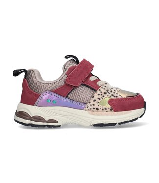 Bunnies Jr Bunnies Jr | Meisjes | Sneakers | Oxblood (226503-447)
