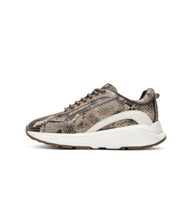 Xsensible | Dames | Sneakers | Dark Brown Fantasy (33013.4 383)