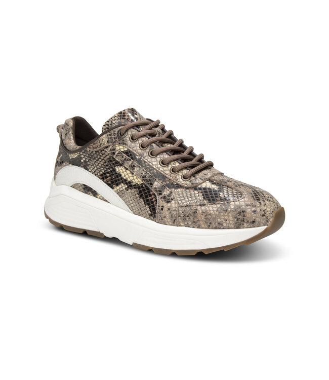 Xsensible | Dames | Sneakers | Dark Brown Fantasy (33013.4 383)