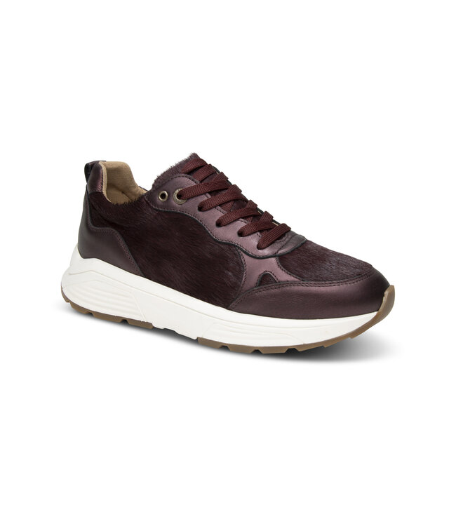 Xsensible | Dames | Sneakers | Burgundy Combi (33009.4 729)