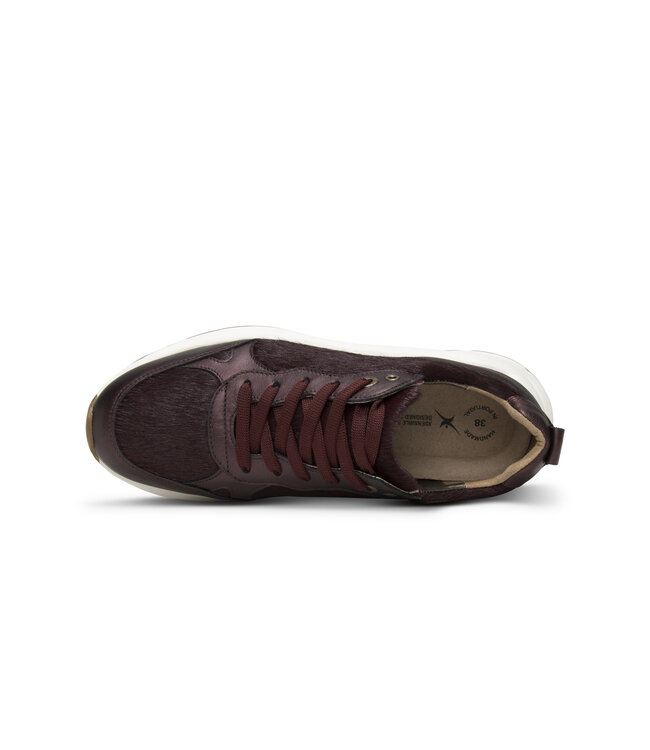 Xsensible | Dames | Sneakers | Burgundy Combi (33009.4 729)