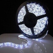 Waterdichte LED strip koud wit 6000k 12W 1260LM 60LED p/m 12VDC IP20 - 5 meter