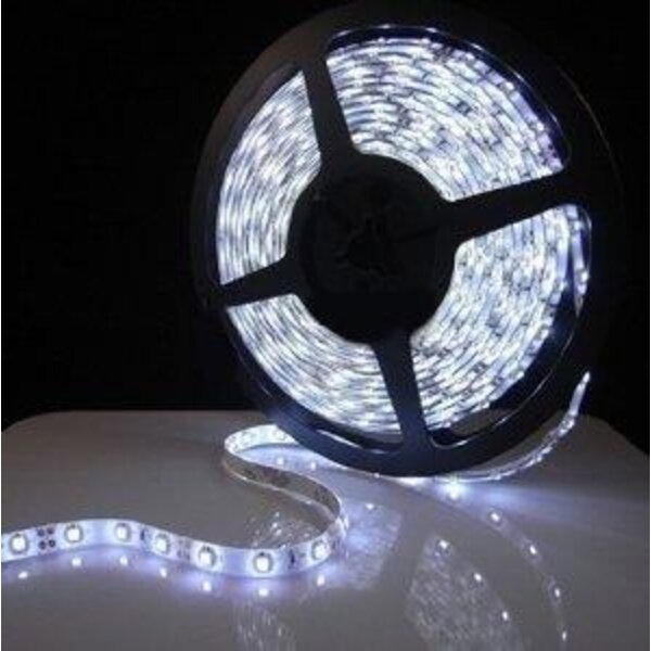 Luksus LED strips Waterdichte LED strip koud wit 6000k 12W 1260LM 60LED p/m 12VDC IP20 - 5 meter