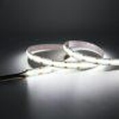 LED strip COB - 480 LED’s p/m - 5 meter - IP20 - 10W - Koud Wit 6000K