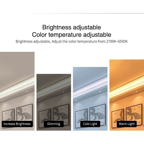 Miboxer 2 in  1 TUYA+ 2,4ghz LED controller om enkel kleurige / dual white LED strips te bedienen 12V/24V - MIBOXER E2-WR