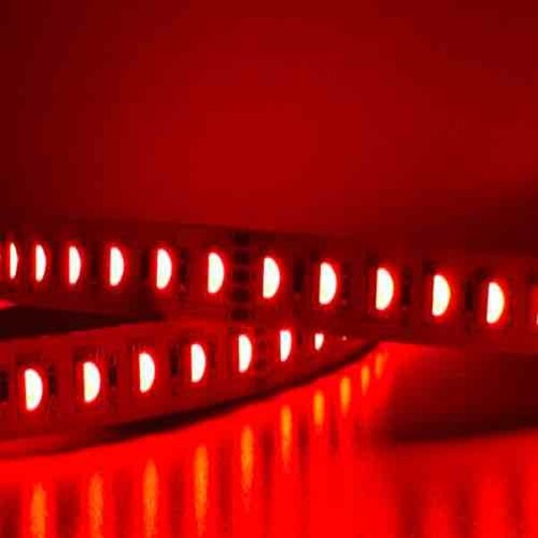 Luksus LED strips Pro RGBWW LED strip 12mm 20W 1350LM 84LED p/m 24VDC IP20 - 5 meter