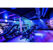 Pro COB RGBW LED strip 15W 1550LM 784ED p/m 24VDC IP20 - 2,5 meter