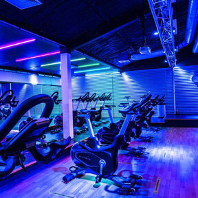 Pro COB RGBW LED strip 15W 1550LM 784LED p/m 24VDC IP20 - 2,5 meter