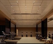 3- fase rail lineaire spot zwart 35W 60° 56cm lang - IRIS