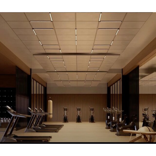 3- fase rail lineaire spot zwart 35W 60° 56cm lang - IRIS