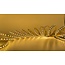 Luksus LED strips Dual white LED strip 22W 2700K~6500K 2000LM p/m 24VDC IP20 CRI90 - 5 meter