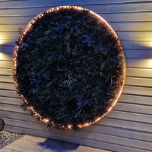 Neon Flex LED strip 24 volt RGBCCT 18W 1050LM 16 x 16mm IP65 – 5 meter