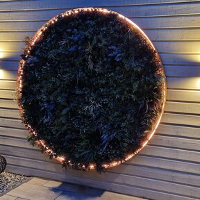 Neon Flex LED strip 24 volt RGBCCT 18W 1050LM 16 x 16mm IP65 – 5 meter