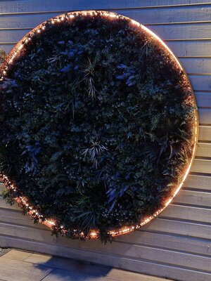 Neon Flex LED strip 24 volt RGBCCT 18W 1050LM 16 x 16mm IP65 – 5 meter