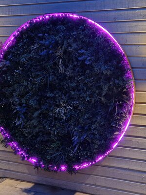 Neon Flex LED strip 24 volt RGBWW 18W 1050LM 16 x 16mm IP65 – 10 meter