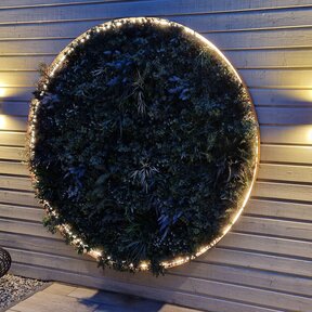 Neon Flex LED strip 24 volt RGBW 18W 1050LM 16 x 16mm IP65 – 10 meter