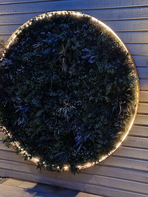 Neon Flex LED strip 24 volt RGBW 18W 1050LM 16 x 16mm IP65 – 10 meter