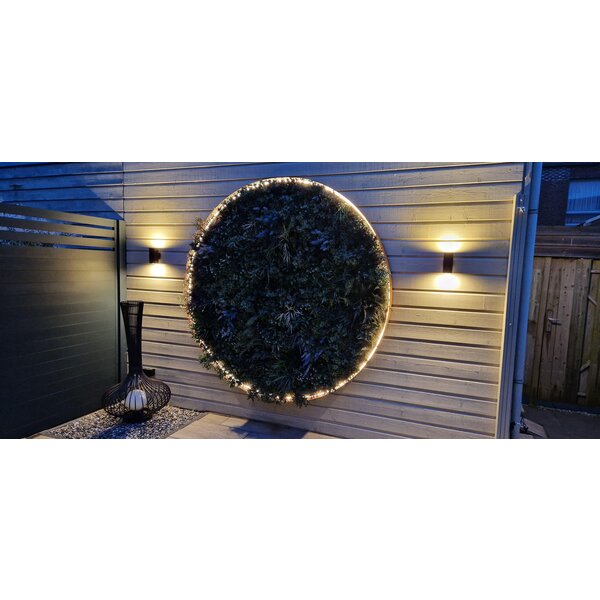Luksus LED strips Neon Flex LED strip 24 volt RGBW 18W 1050LM 12 x 20mm IP65 – 10 meter