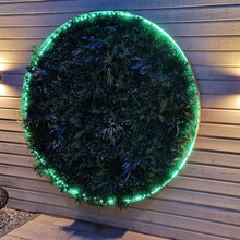 Neon Flex LED strip 24 volt RGBW 18W 1050LM 16 x 16mm IP65 – 5 meter