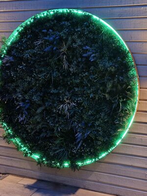 Neon Flex LED strip 24 volt RGBW 18W 1050LM 16 x 16mm IP65 – 5 meter
