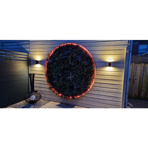 Luksus LED strips Neon Flex LED strip 24 volt RGBW 18W 1050LM 12 x 20mm IP65 – 5 meter