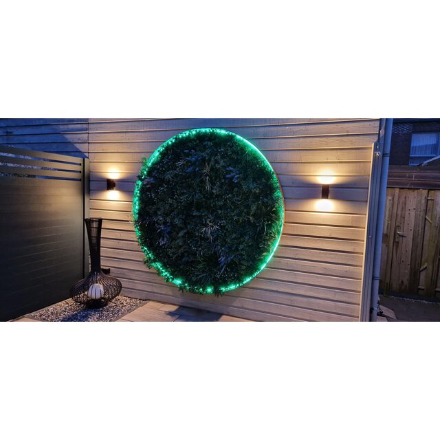 Neon Flex LED strip 24 volt RGBWW 18W 1050LM 16 x 16mm IP65 – 5 meter