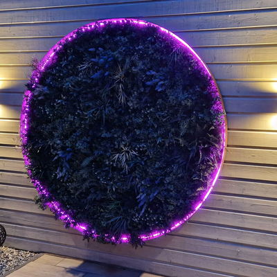 Neonflex LED cirkel verlichting voor in de tuin