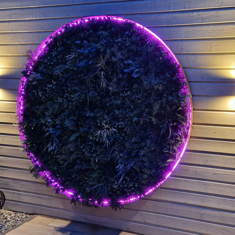 Neonflex LED cirkel verlichting voor in de tuin